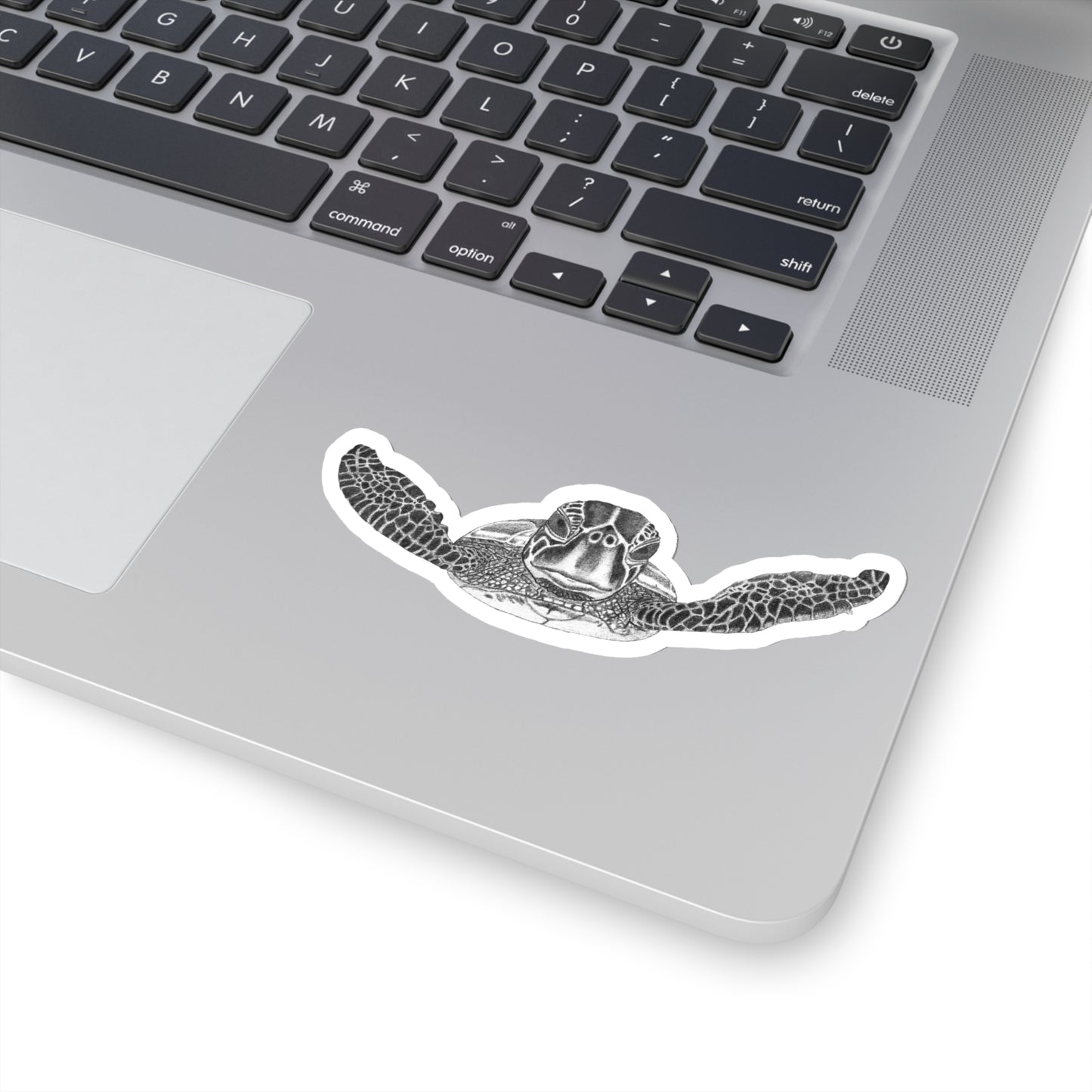 Sticker of turtle example on a laptop